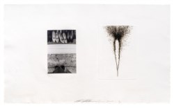 Photographs and etchings