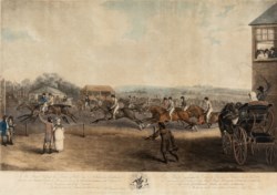 Francis Calcraft Turner (1782 - 1846) - Racing horses