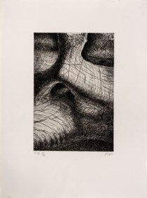 Elephant skull - tavola X