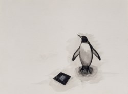 Pinguino non conosce i Joy Division
