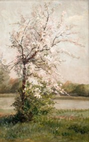 Carlo Nogaro (Asti, 1837 - Choisy-au-Bac, 1931) - Peach blossom