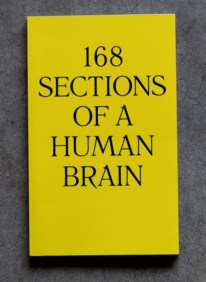 168 sections of a human brain